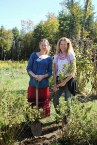 Authors Alyssa Holmes and Dede Cummings at Alyssa's homestead in West Brattleboro, Vermont. Alyssa is shown, at left, having dug up some astragalus to give to Dede to plant in her new medicinal herb garden where she lives just down the road. 
